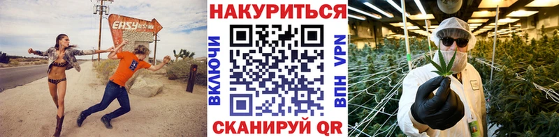 МАРИХУАНА семена Махачкала